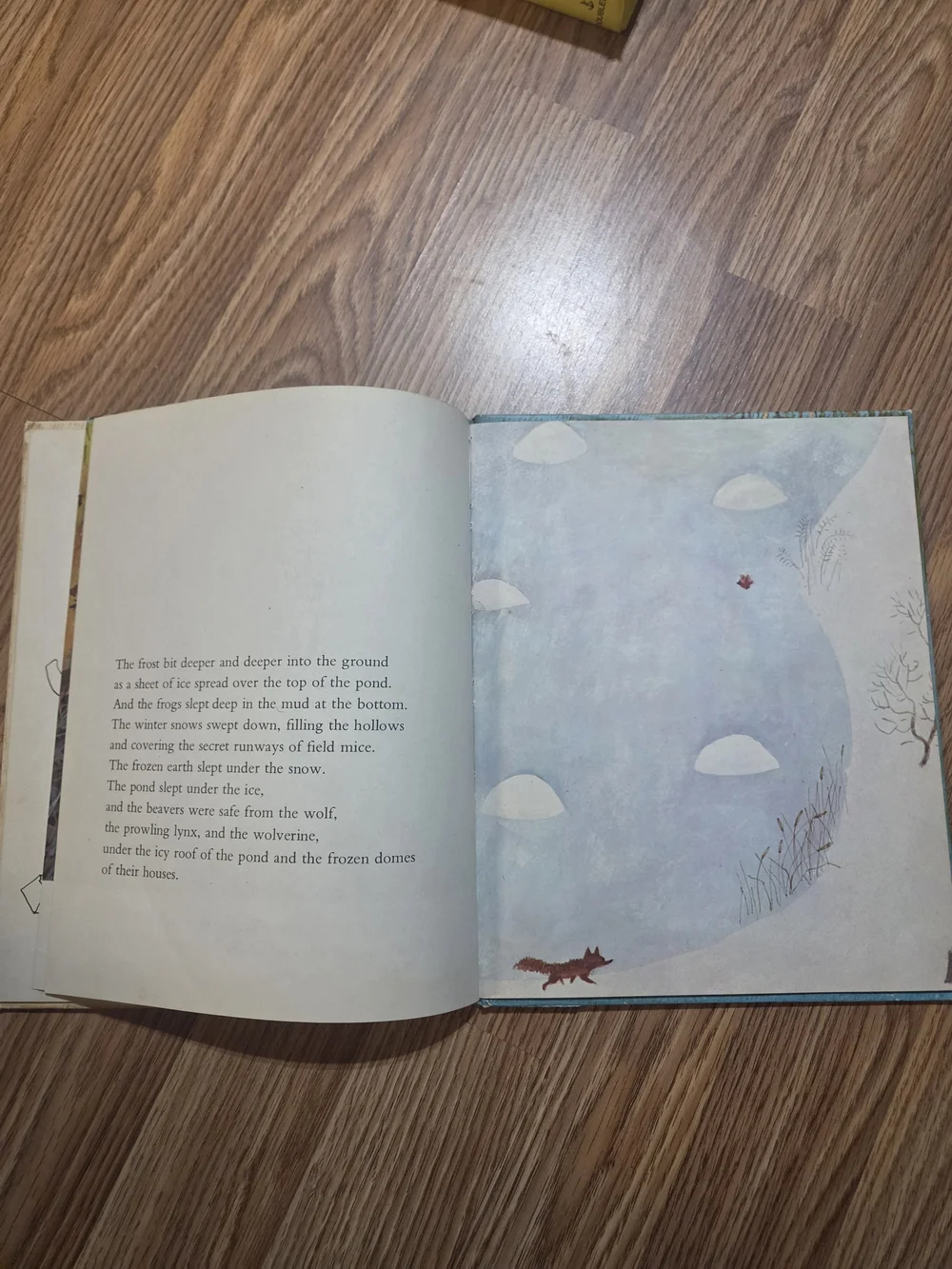 Vintage Childrens Book 1970's The Beaver Pond